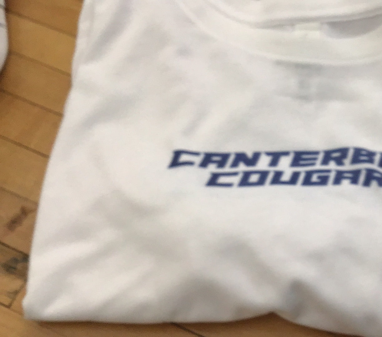 Ladies Festival Cali White Crop Top