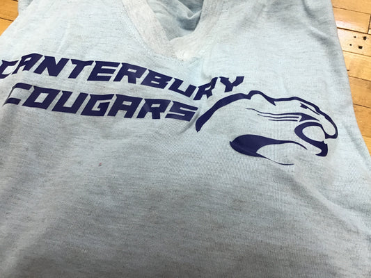 Adult light blue hoodie v-neck