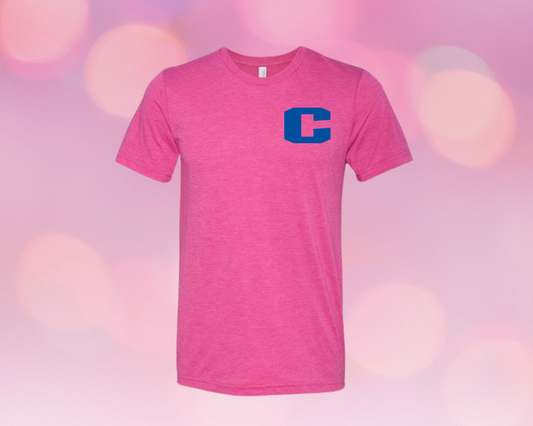 Bella Canvas  Canterbury “Pink Out” Triblend Tee